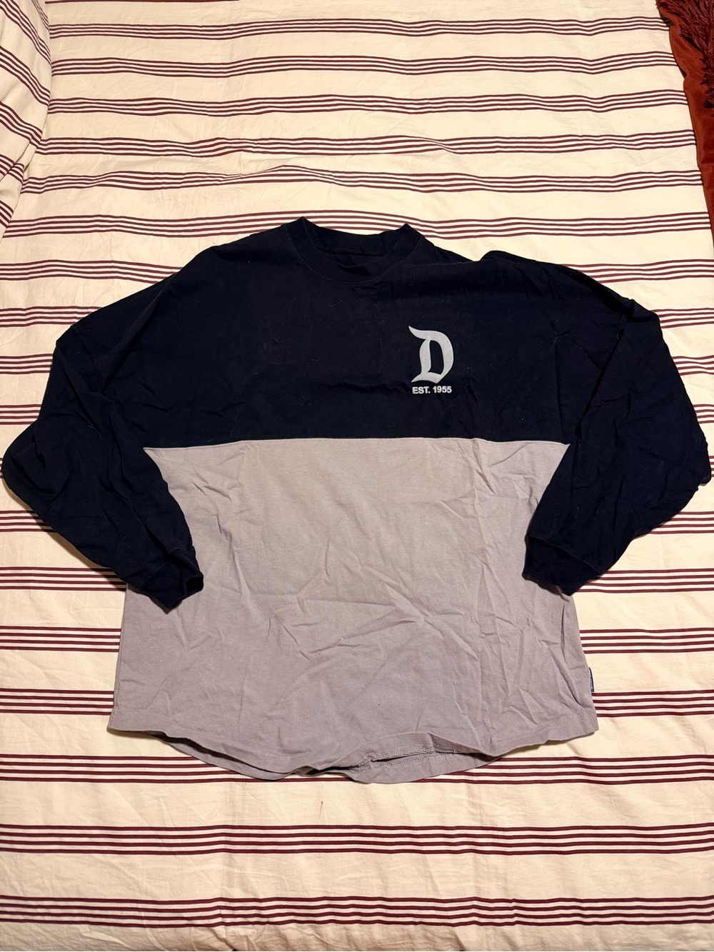 Disneyland Black and Gray Spirit Jersey, Size M